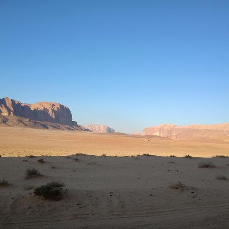 Quite Bedouin Life Hotell Wadi Rum Exteriör bild