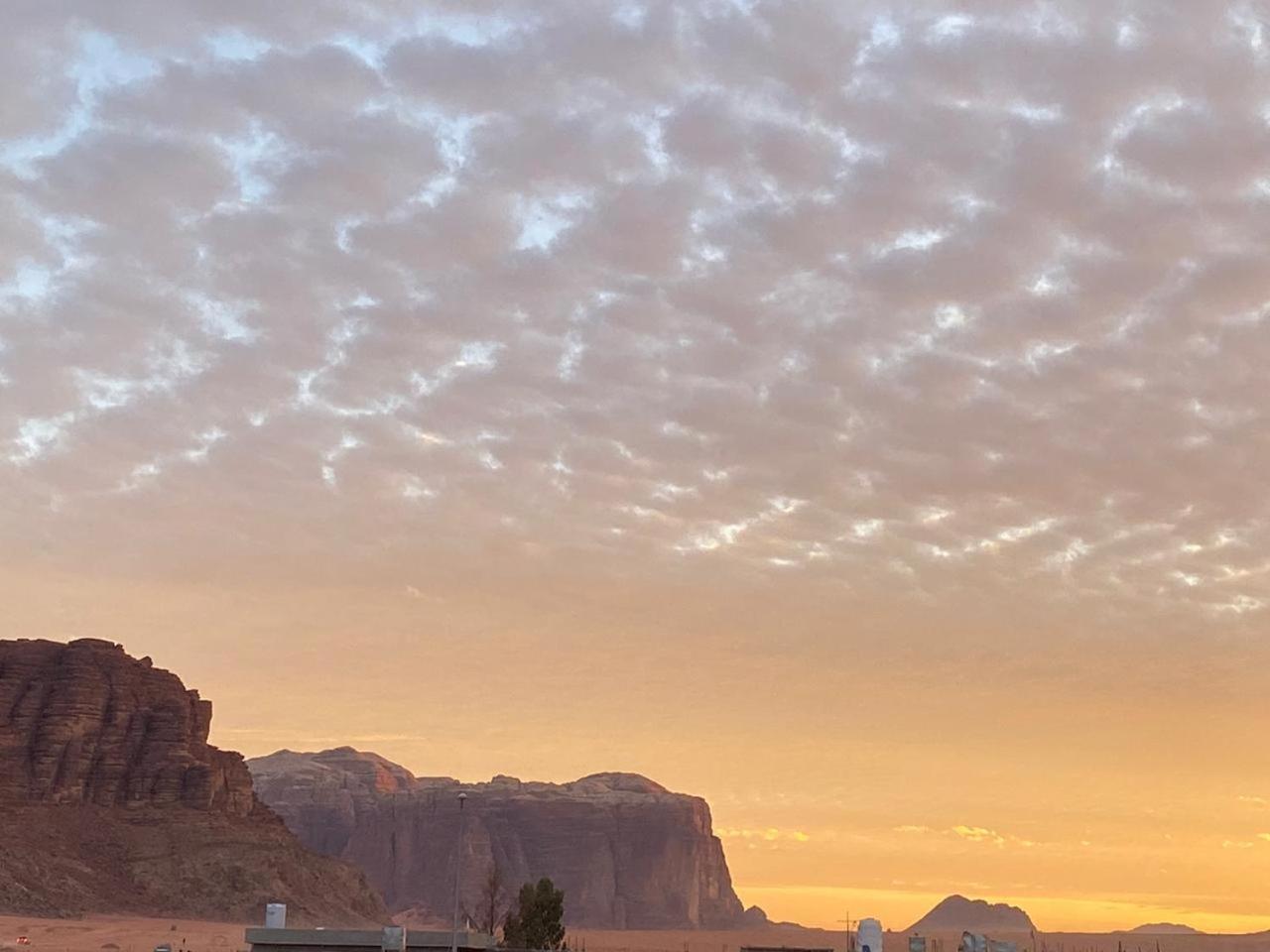 Quite Bedouin Life Hotell Wadi Rum Rum bild