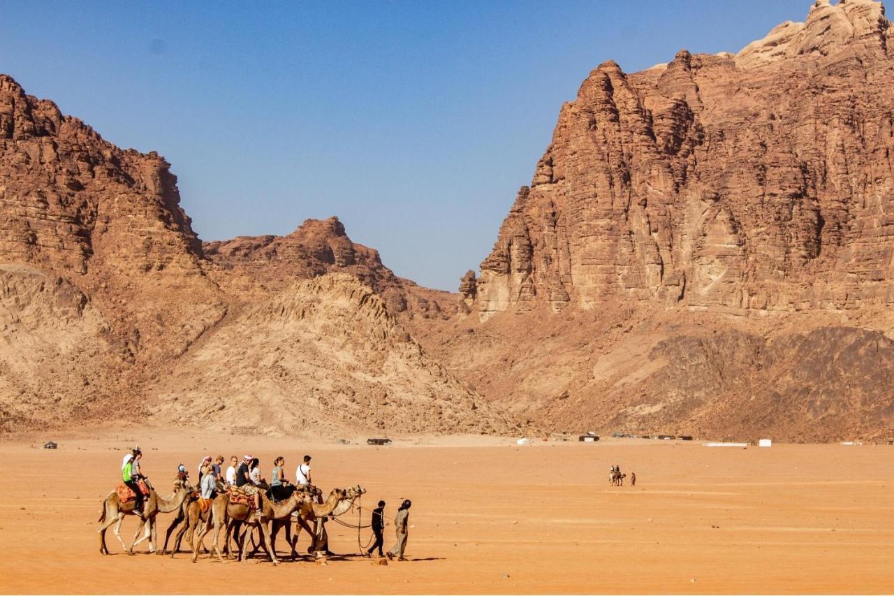 Quite Bedouin Life Hotell Wadi Rum Rum bild