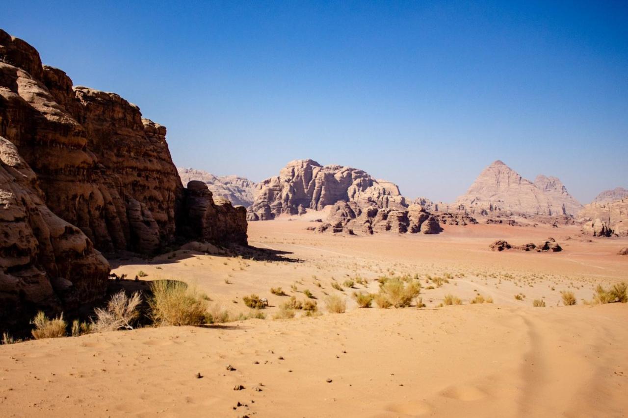 Quite Bedouin Life Hotell Wadi Rum Exteriör bild