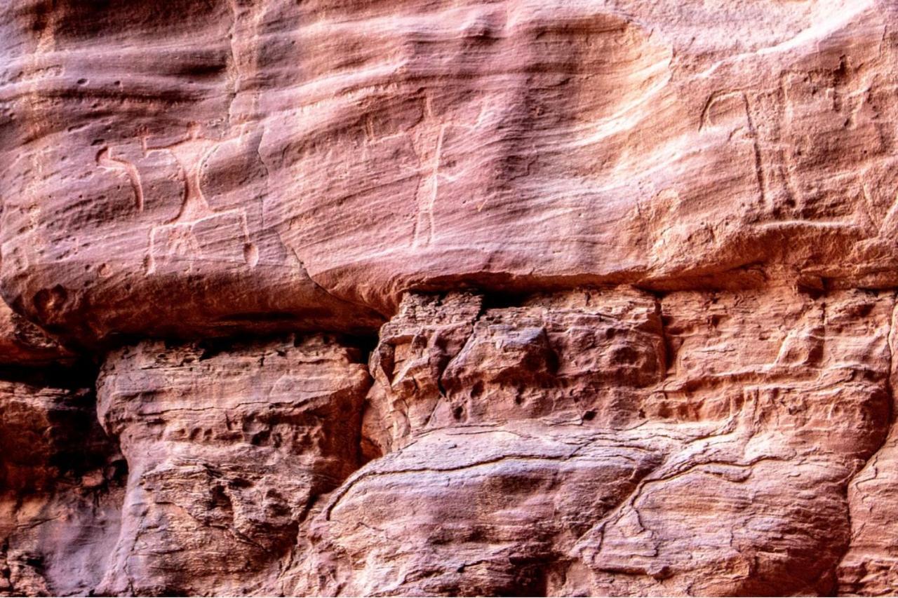 Quite Bedouin Life Hotell Wadi Rum Exteriör bild