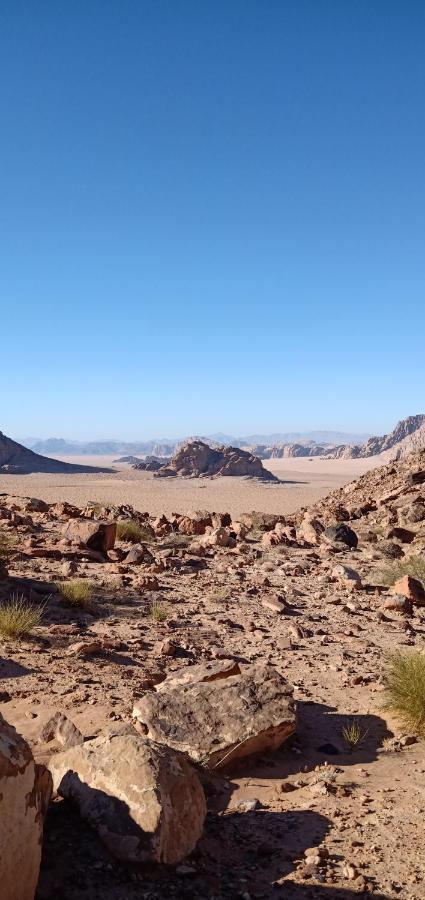 Quite Bedouin Life Hotell Wadi Rum Exteriör bild