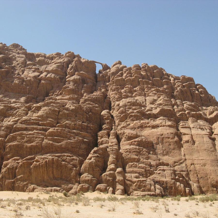 Quite Bedouin Life Hotell Wadi Rum Exteriör bild